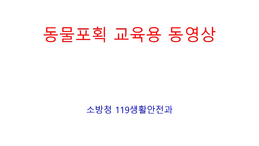 동물포획 교육용 동영상
